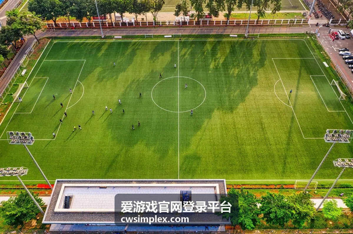 爱游戏官网登录平台账号安全设置界面示意