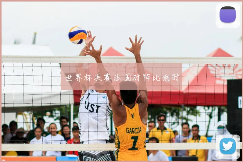 世界杯决赛法国对阵比利时