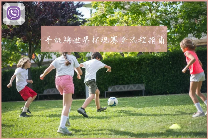 手机端世界杯观赛全流程指南