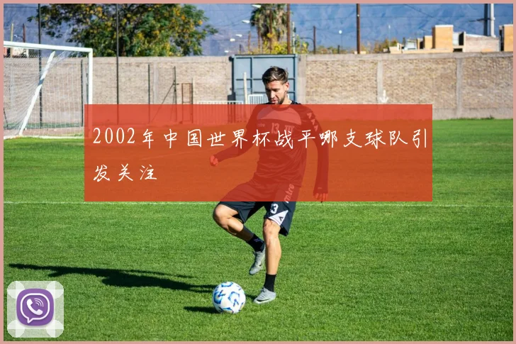 2002年中国世界杯战平哪支球队引发关注
