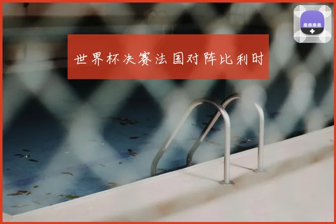 世界杯决赛法国对阵比利时